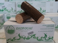Tronchetto di Faggio Ekofocus